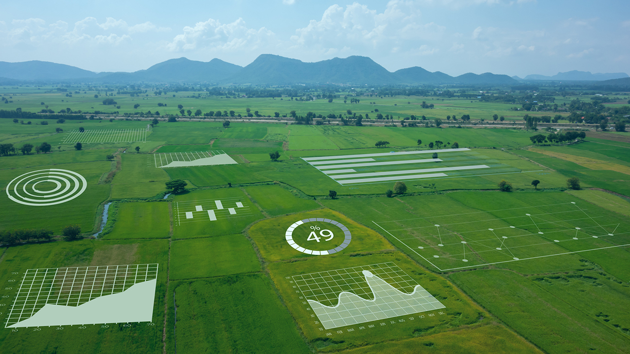 Smart IoT & Carbon Credits